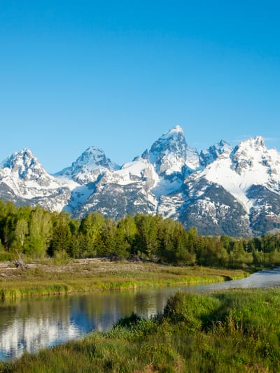 grand-teton-mountains-behind-river-and-trees-in-morning